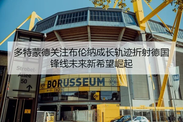 多特蒙德关注布伦纳成长轨迹折射德国锋线未来新希望崛起